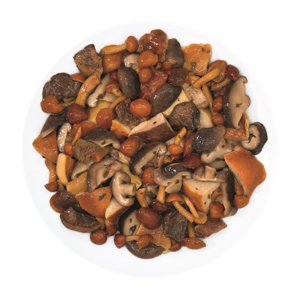 FUNGHI MISTI  SOTT OLIO 500g